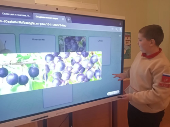 Разговоры о важном