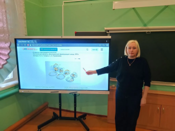 Всемирная неделя качества